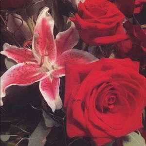 Meet your Posher, Lena